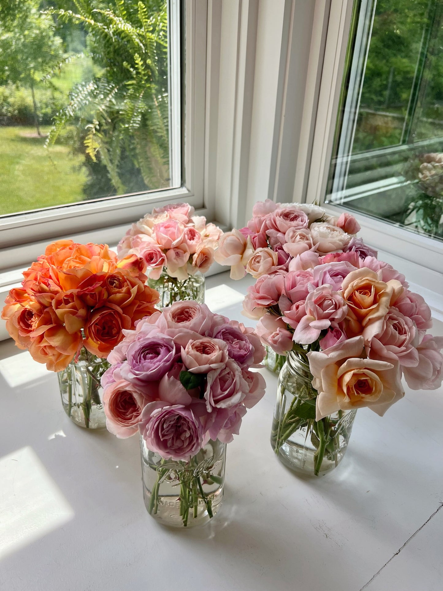 Farm Stand - Rose Large Jars