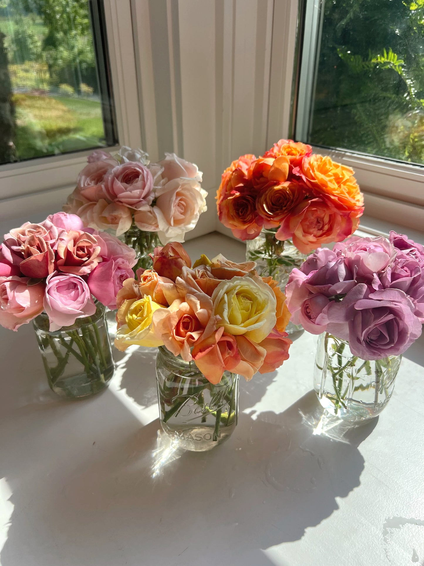 Farm Stand - Rose Small Jars