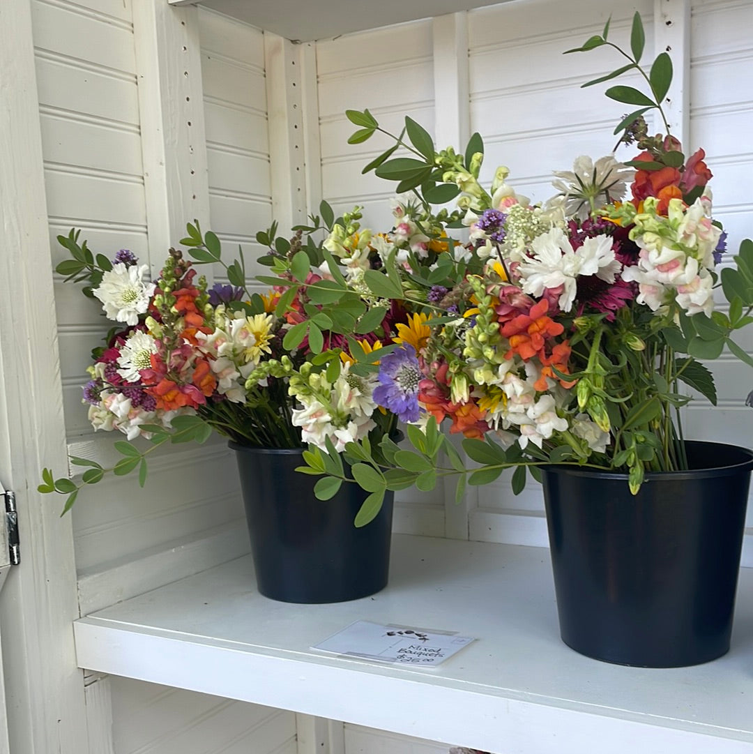 Farm Stand - Market Bouquet